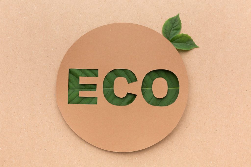 Sustainability and environmental responsibility with cardboard